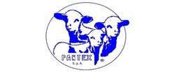 pentex logo