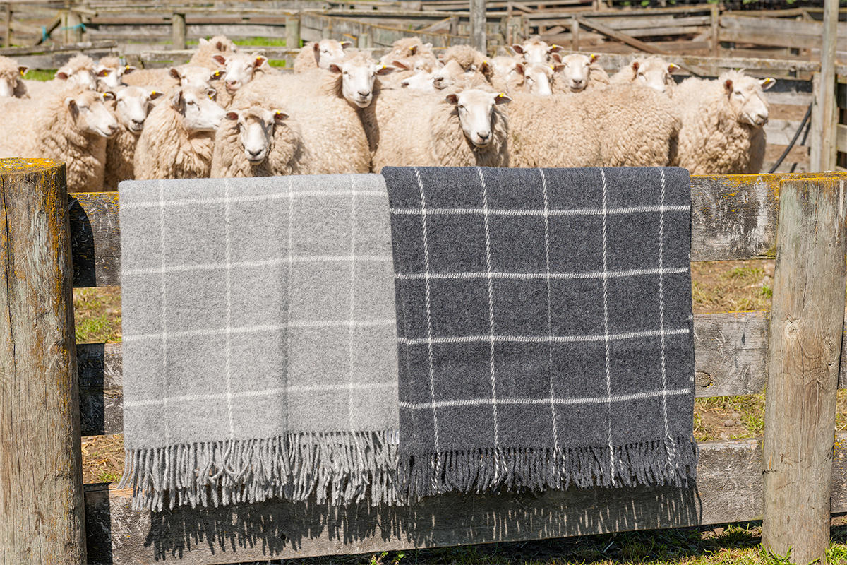 wool blankets over a wooden gate by a sheep pen